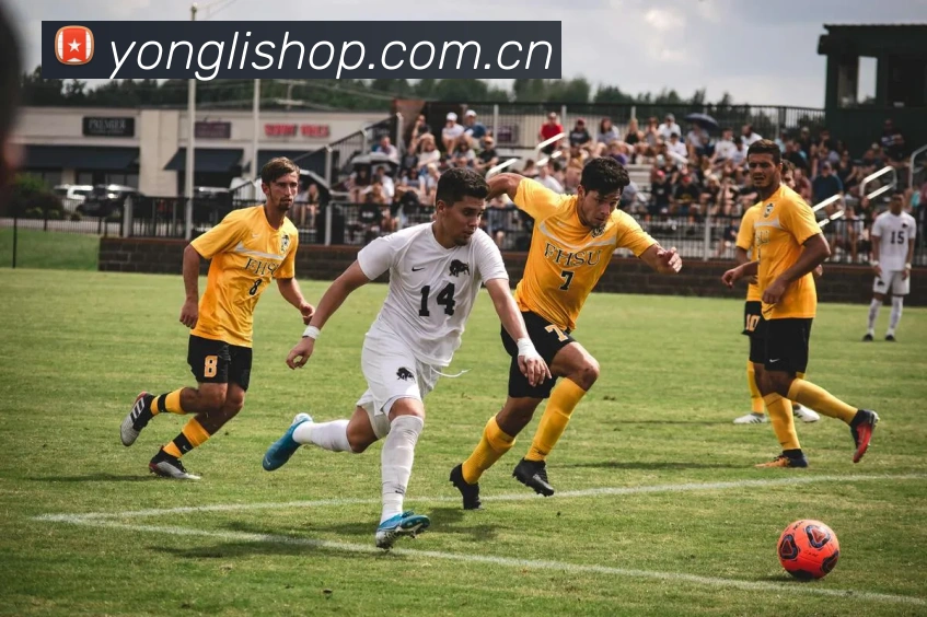 多媒体互动体验